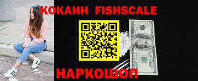 стафф Кингисепп