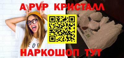 стафф Кингисепп