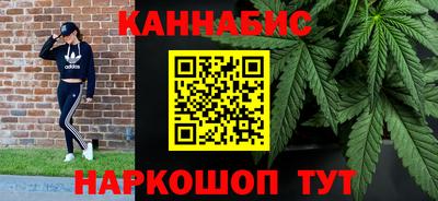 стафф Кингисепп
