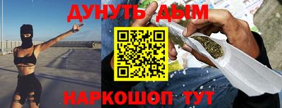 стафф Кингисепп