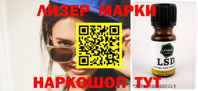 стафф Кингисепп