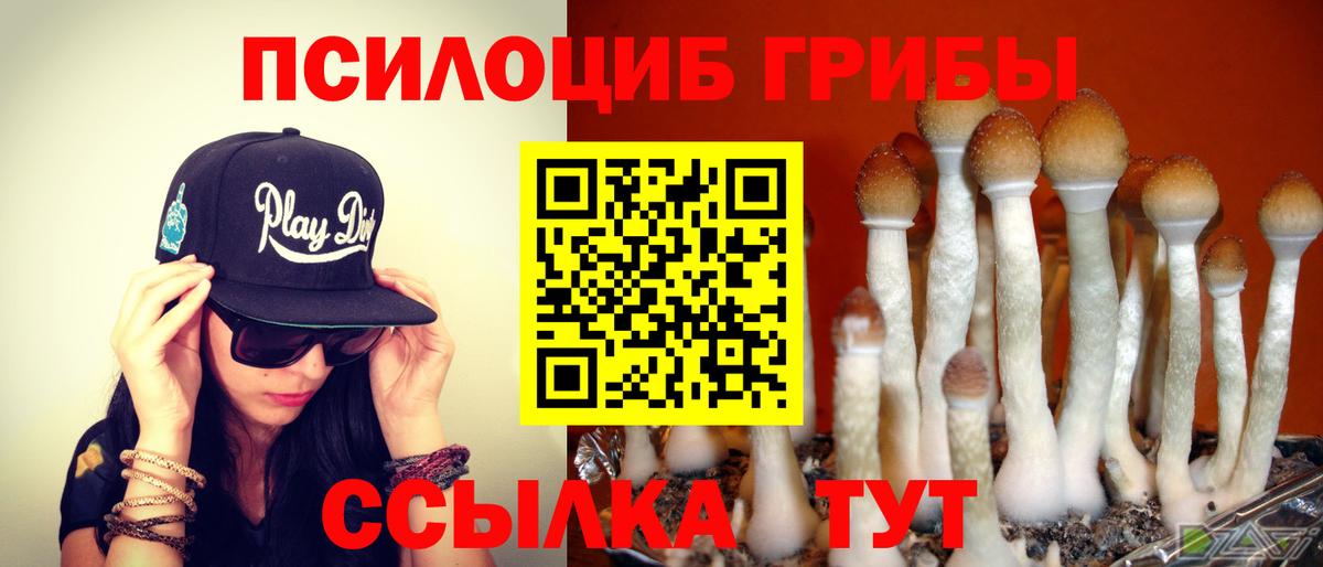 Еманжелинск  Псилоцибиновые грибы мухоморы  Вход с VPN 